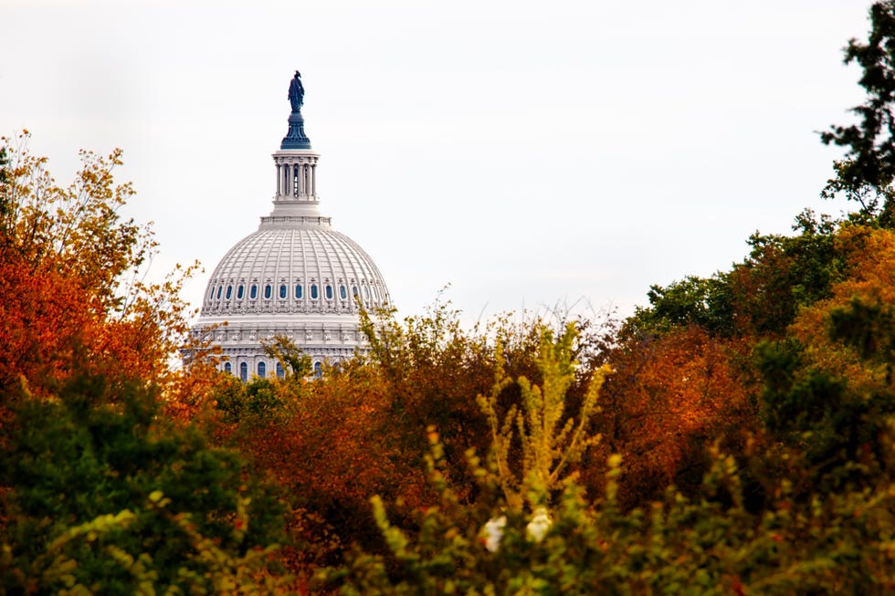 fall foliage in the district of columbia