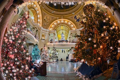 close up of christmas trees and other trees beyond them on marble floor in circular rotunda room with rounded arches