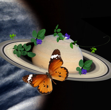 the planet saturn surrounded by butterflies and plants