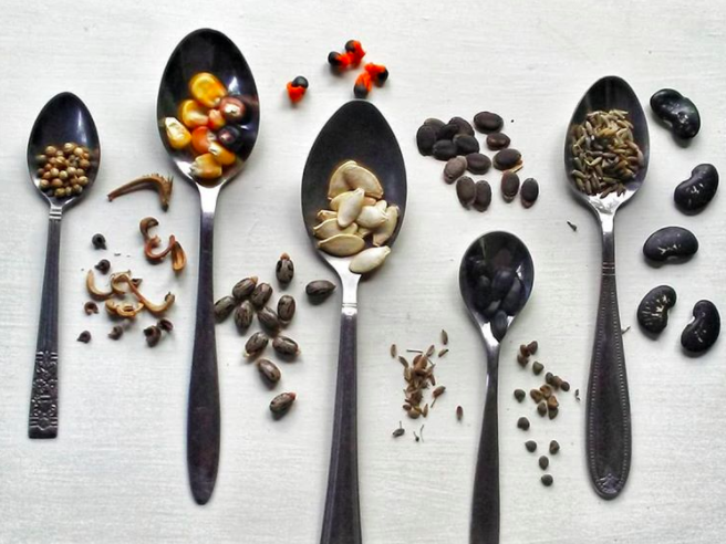 Beneficios de las semillas: chía, lino y sésamo • Blog de ecología