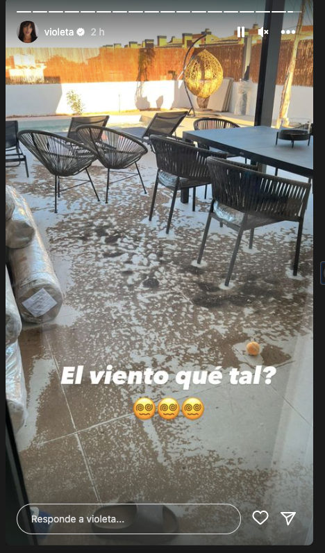 violeta mangriñán