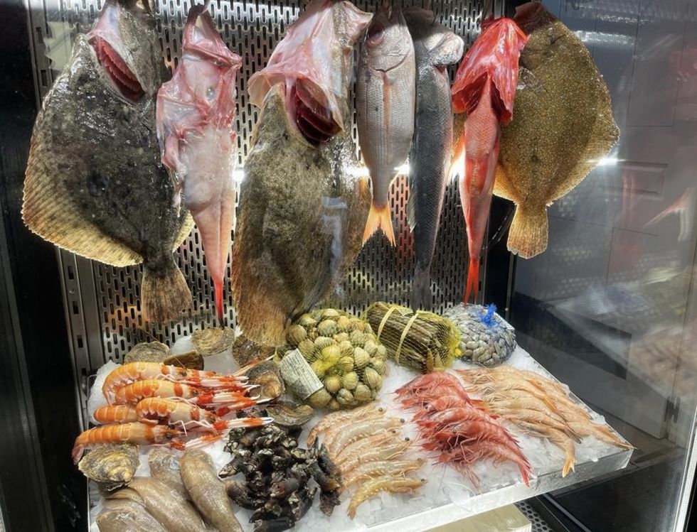 a variety of fish in a display case