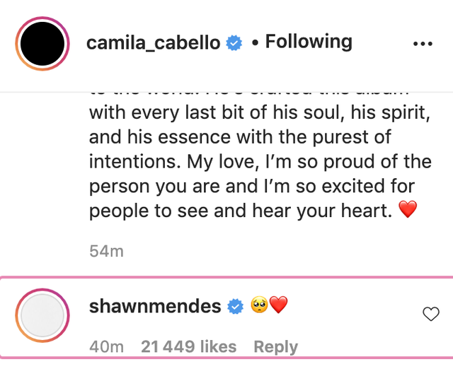 mendes' comment on camila's post