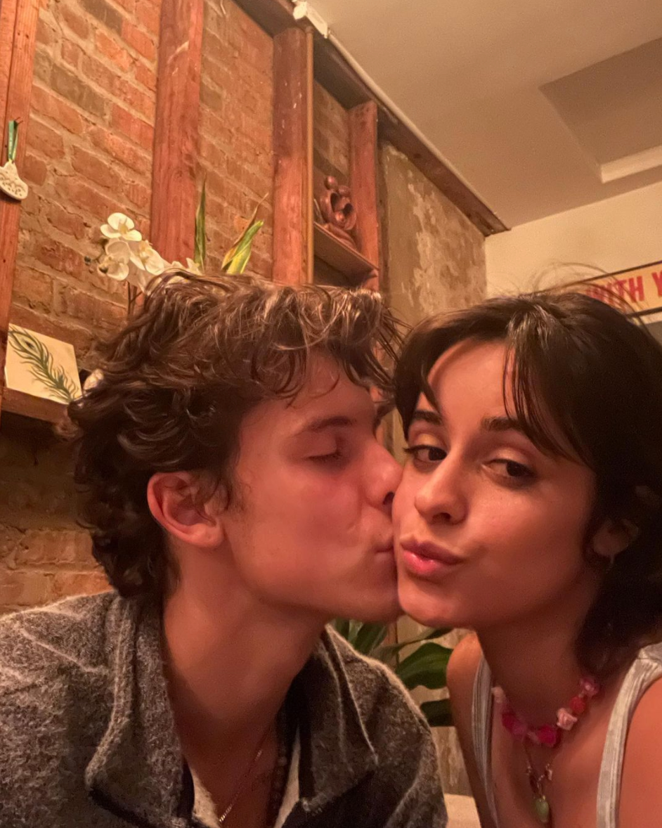 Camila Cabello Shares Shawn Mendes Kissing Photo in April 2021