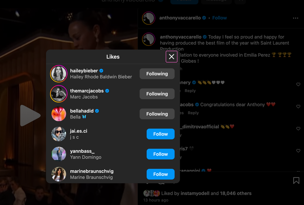 hailey bieber and bella hadid's likes on the post