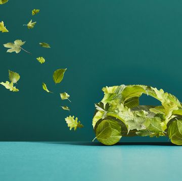 a car made of leaves with an exhaust trail of leaves
