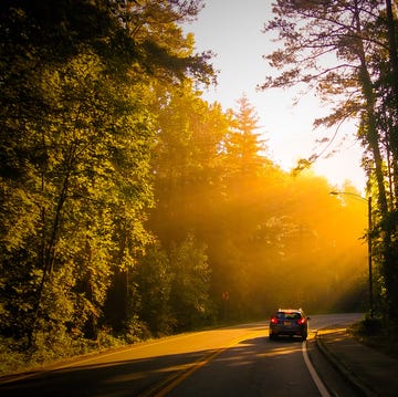 Car On Street Amidst Forest During Sunny Day car on street amidst forest during sunny day