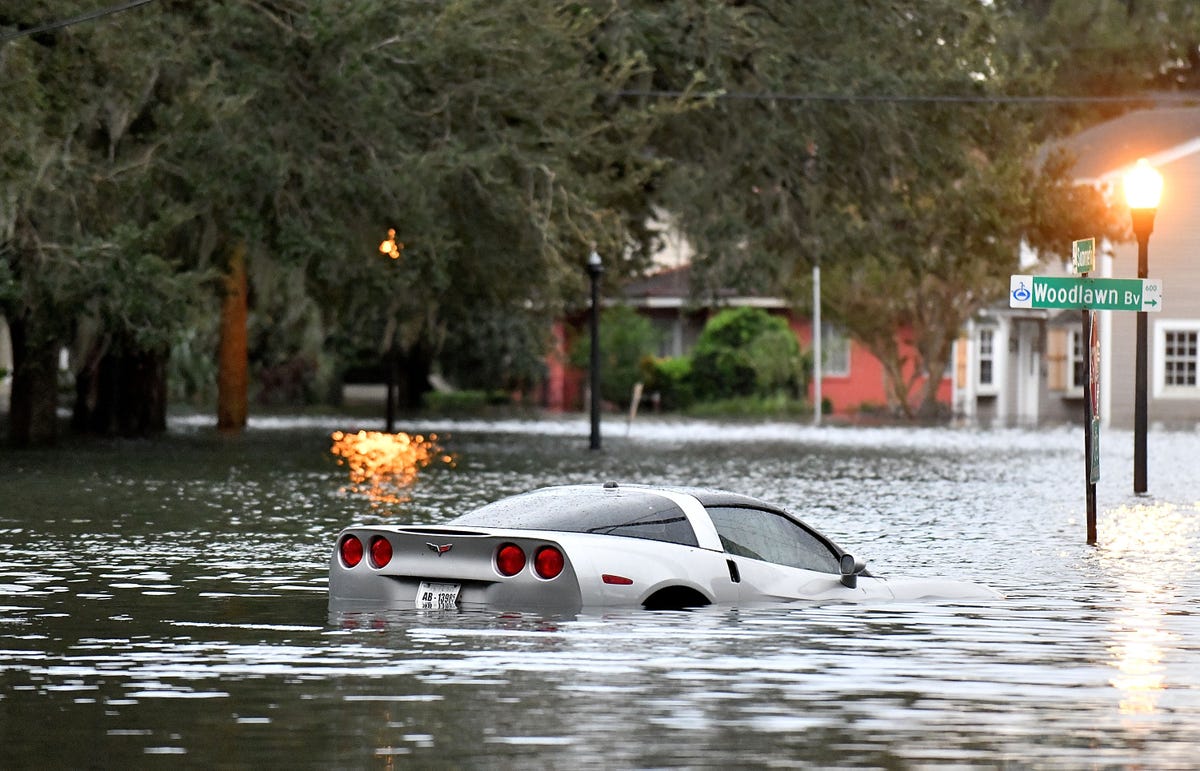 Tons of Incredible Cars Were Sacrificed to Hurricane Ian: Now They