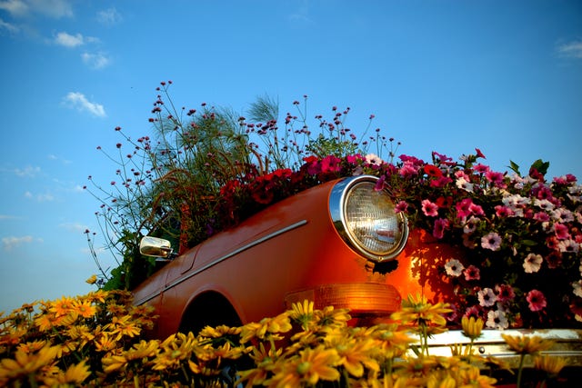 car turned into flower garden