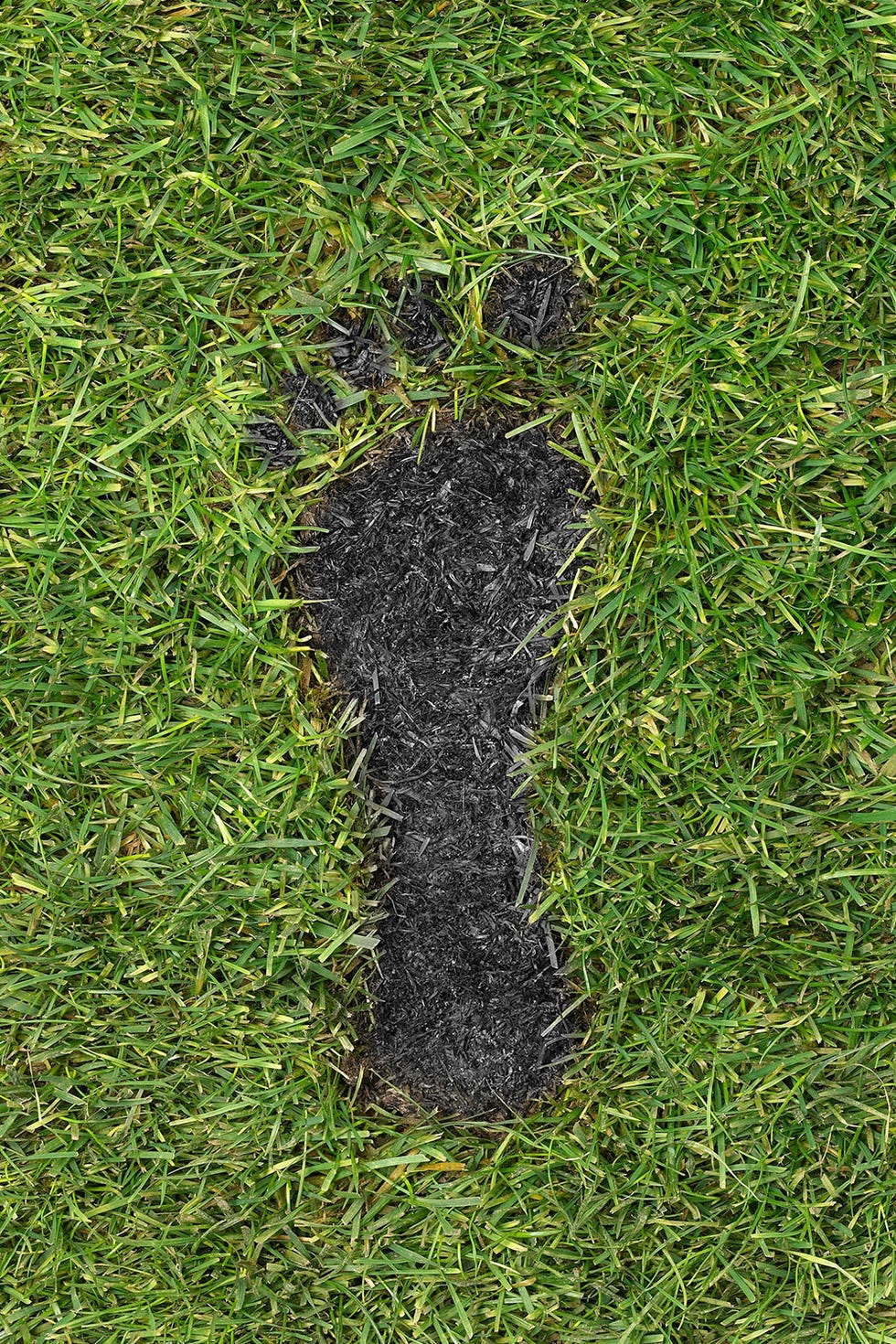 Calculate Your Carbon Footprint - How to Celebrate Earth Day