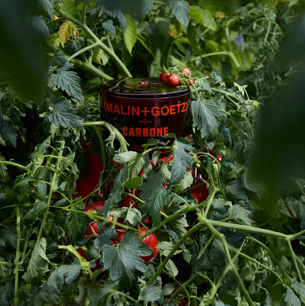 carbone x malin+goetz