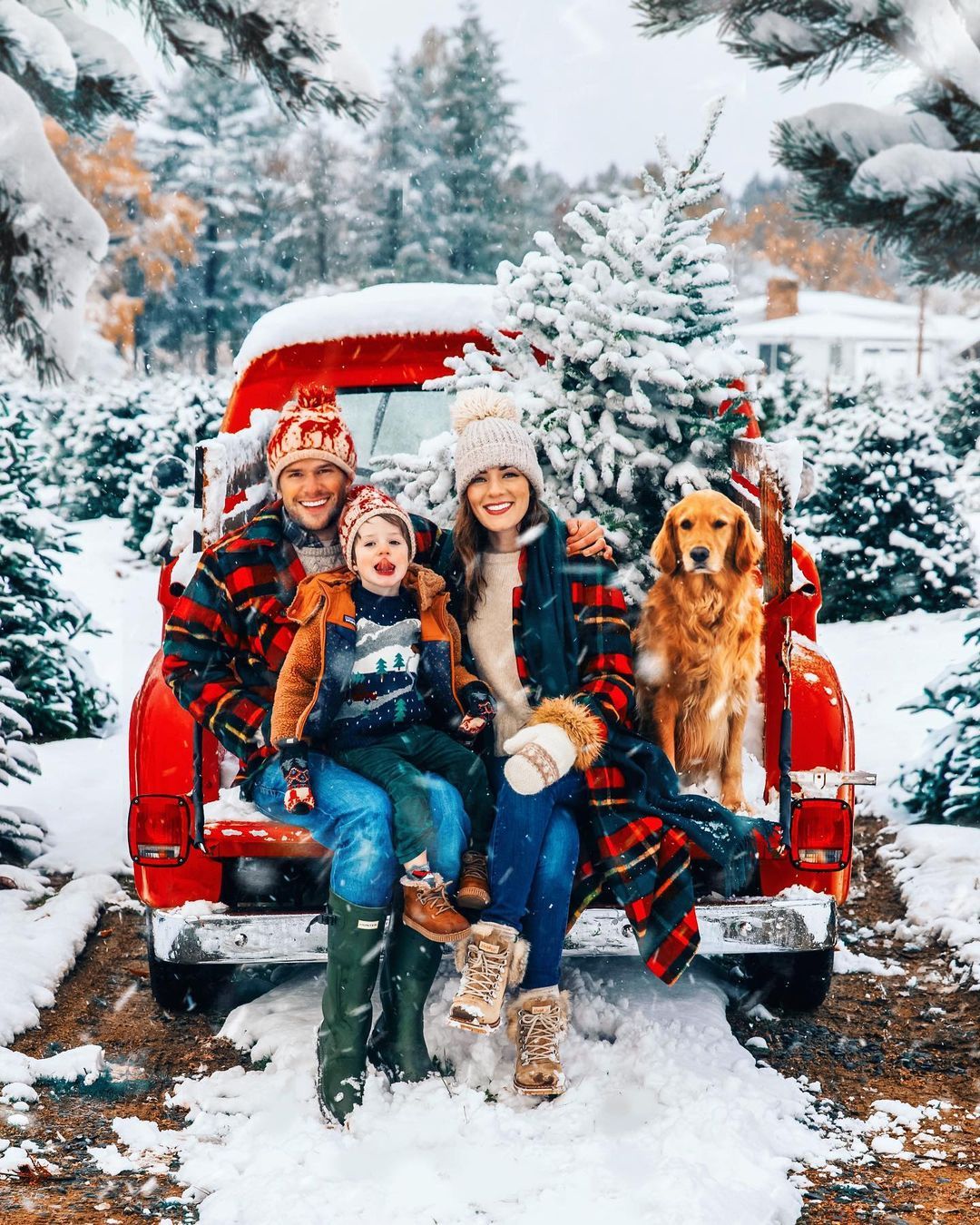 Family poses next to dog against background of Christmas tree. Stock Photo  by ©stasia04 326868218
