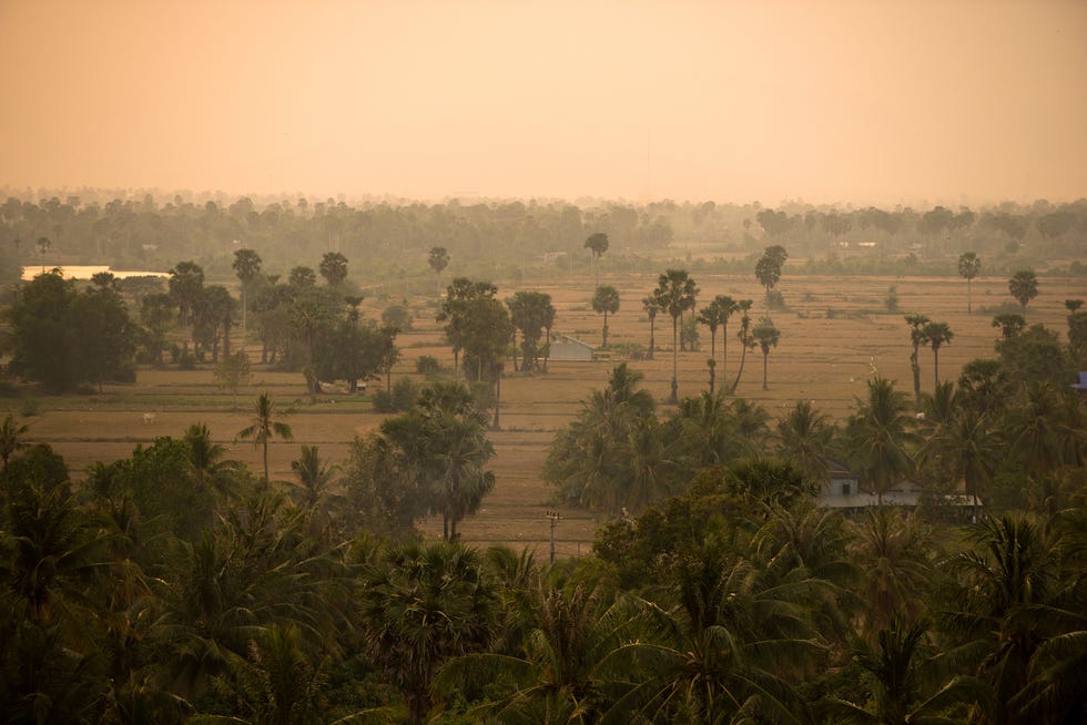 Cambodian landscape
