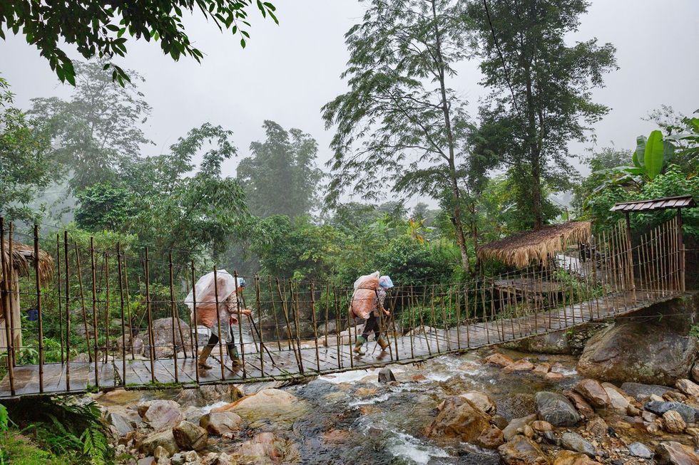 Twee dorpelingen van het Red Daovolk steken op de terugweg van de kardemomoogst een loopbrug over In hun dorp Nam Cang komt een groot deel van de inkomsten uit de verkoop van de specerij aan handelaren