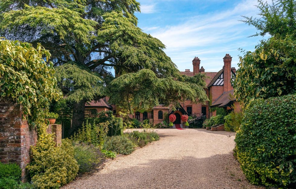 new forest hotels