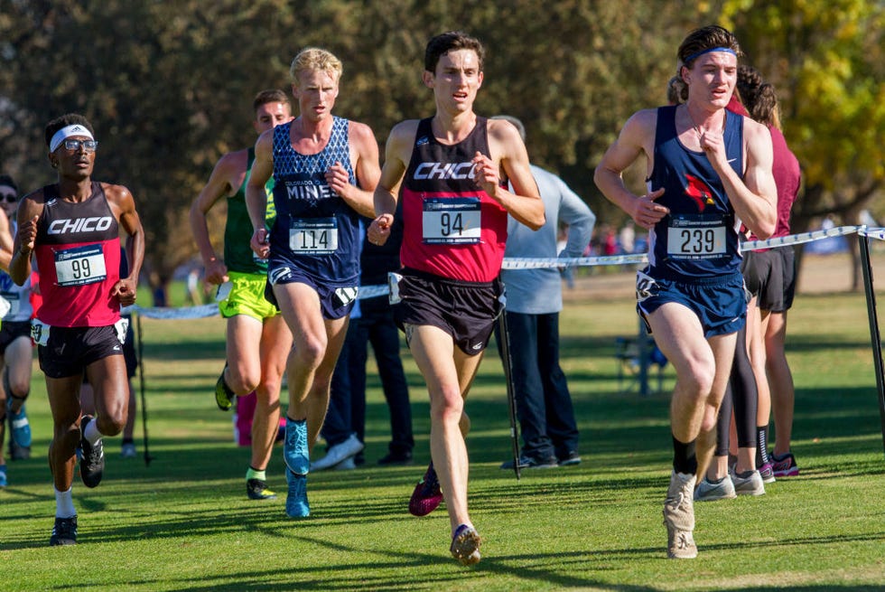 2019 ncaa division ii men's and women's cross country championship