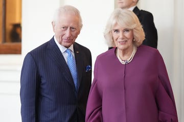 el rey carlos iii y camila