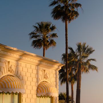 palm trees and a building