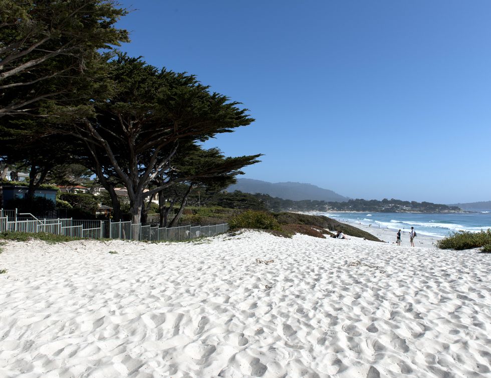Sand, Beach, Sky, Tree, Sea, Shore, Natural environment, Coast, Vacation, Ocean, 