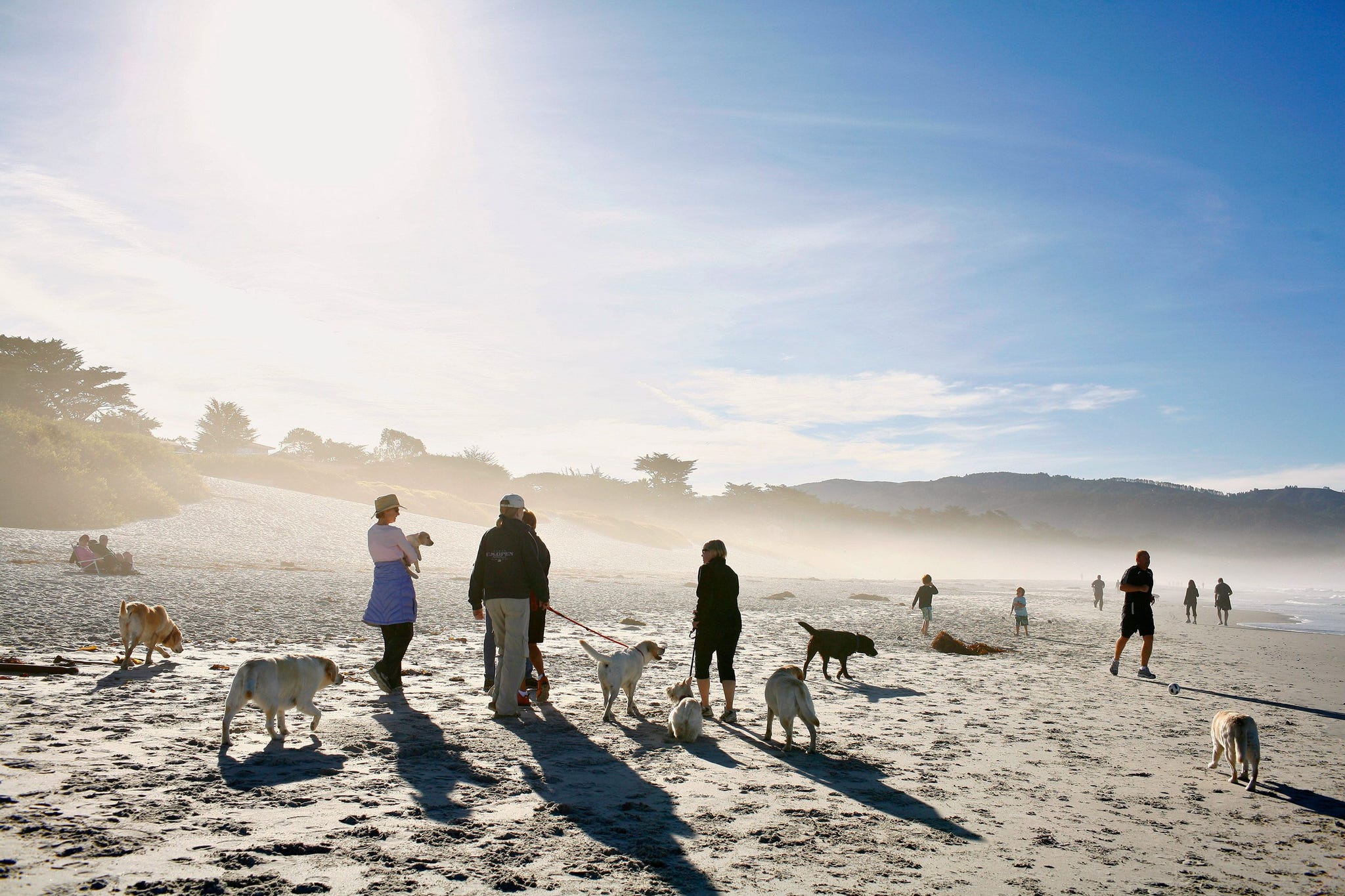 Bezoekers wandelen met hun honden over het stadsstrand van Carmel City in Californi