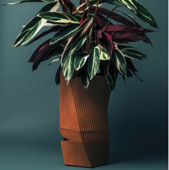 The Carmen planter can keep your plant alive for three weeks!