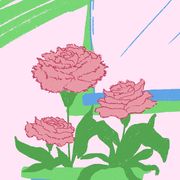 Flowerpot, Flower, Plant, Pink, Botany, Illustration, Carnation, Cut flowers, Flowering plant, Chrysanths, 