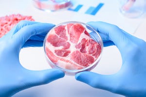 raw meat sample in laboratory petri dish cultured lab grown meat or meat examination concept