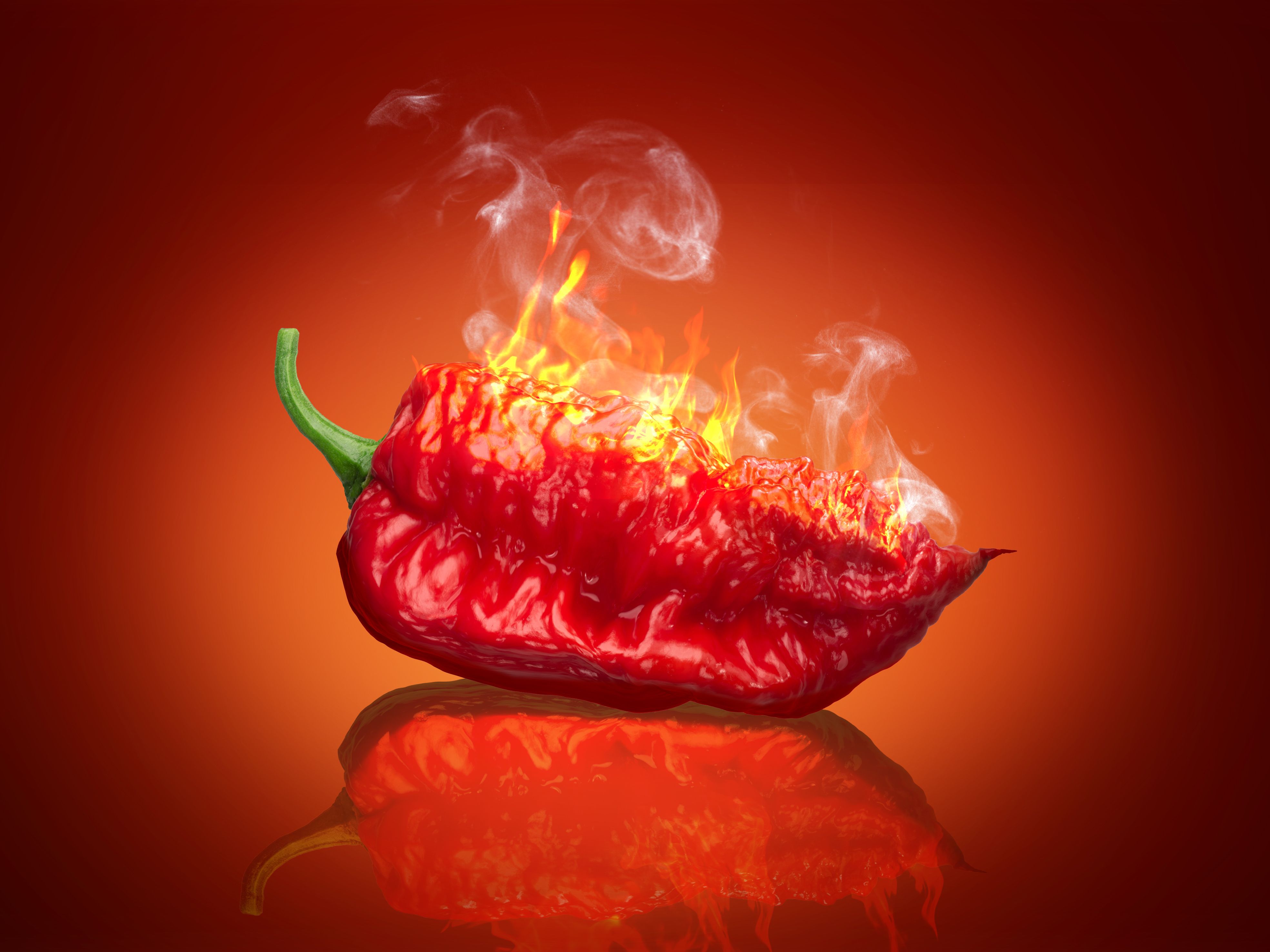 Consumption of chili pepper reduces mortality risk, says study