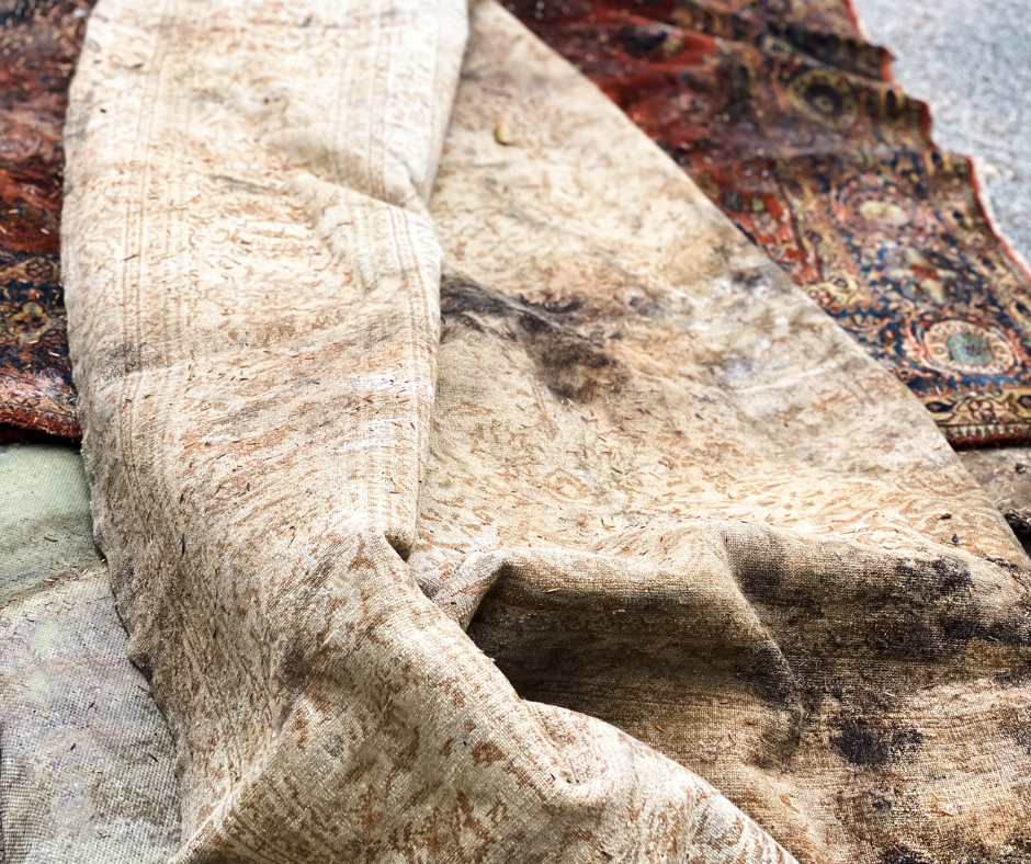 carpetcleaningmythsbustedbytheexperts