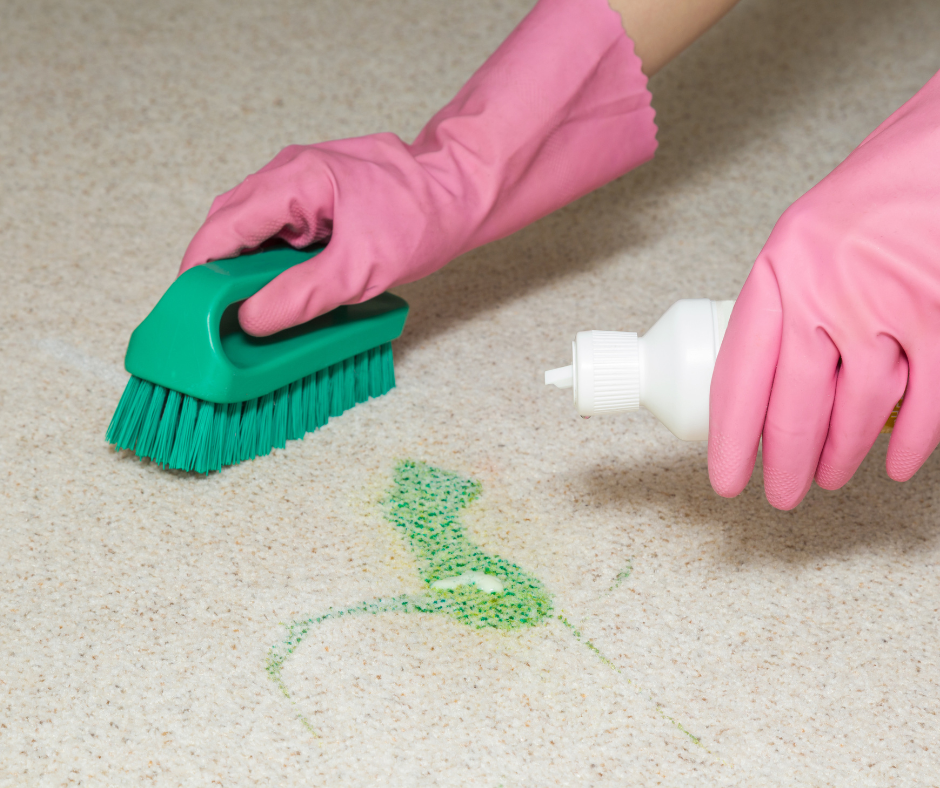 carpetcleaningmythsbustedbytheexperts