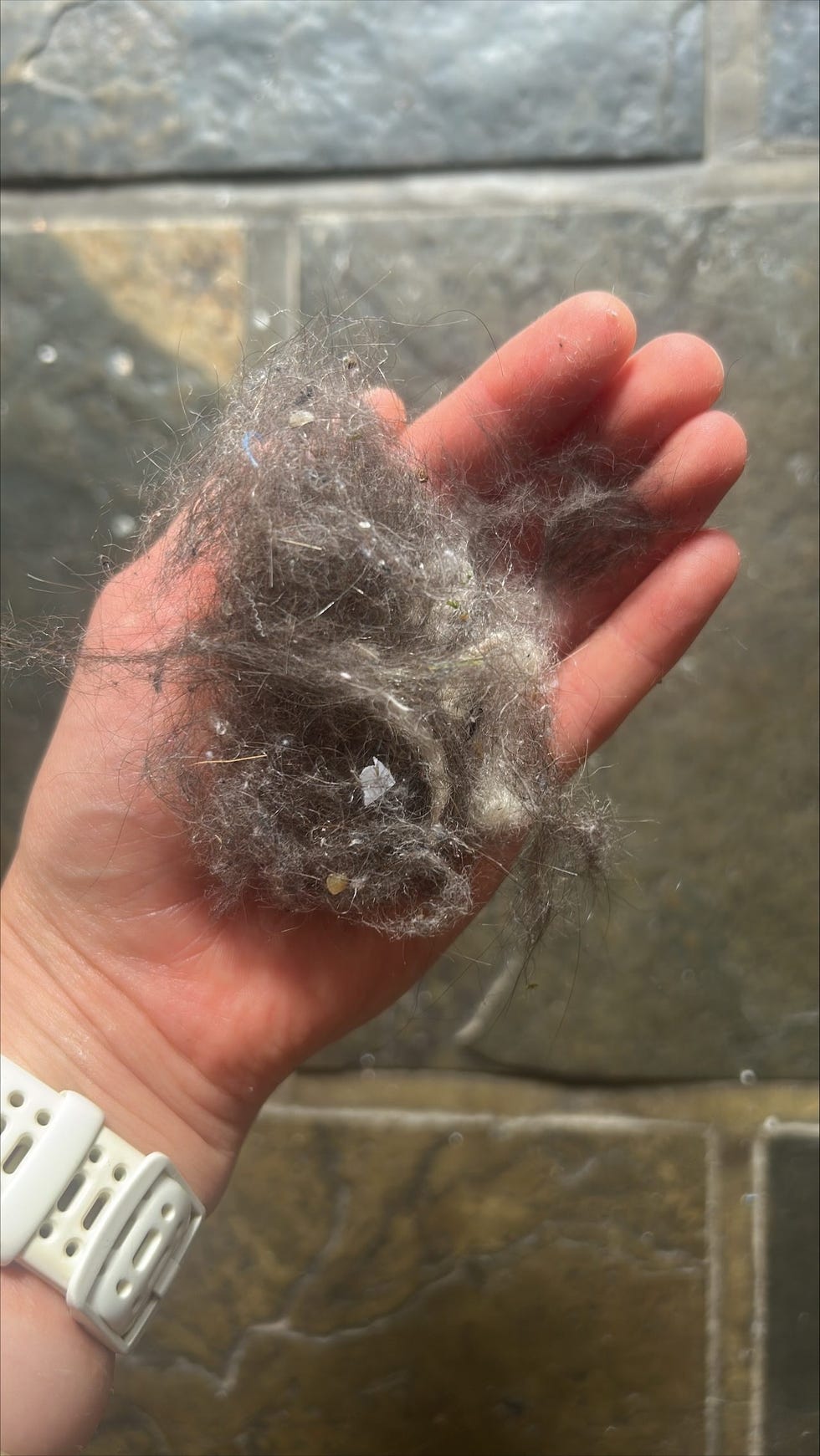 hand holding a clump of lint and debris