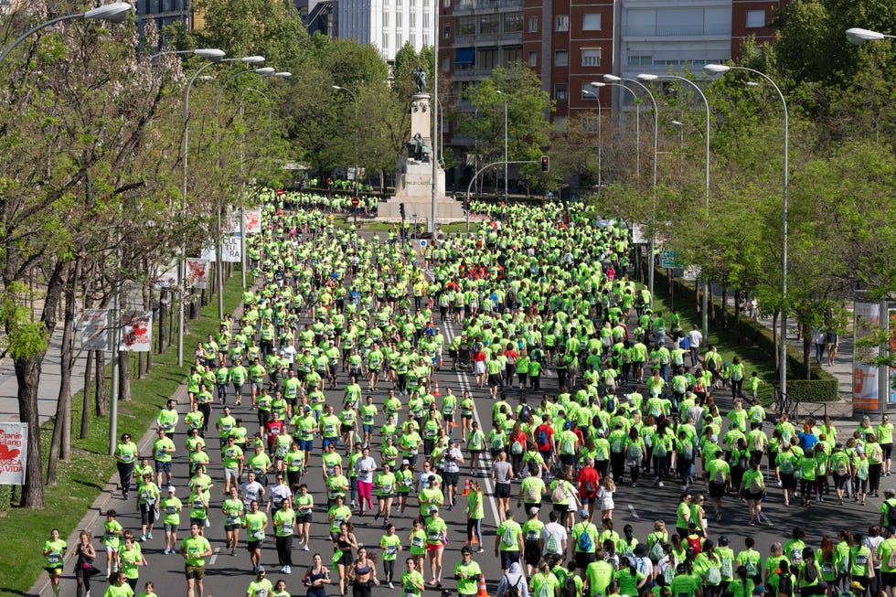 a large group of people on a street