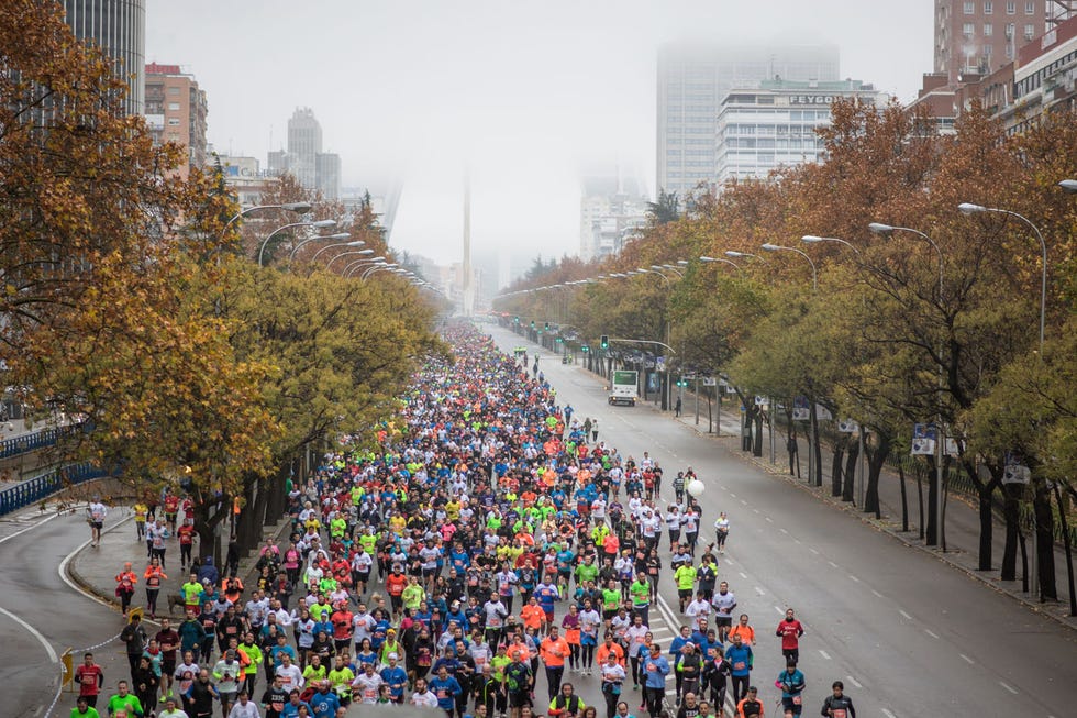 carrera de las empresas