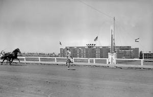 jesse owens midiéndose a un caballo en un hipódromo sobre la distancia de 100 yardas una de las varias carreras de humanos contra caballos