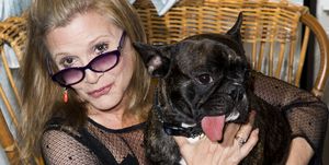 carrie fisher dog gary