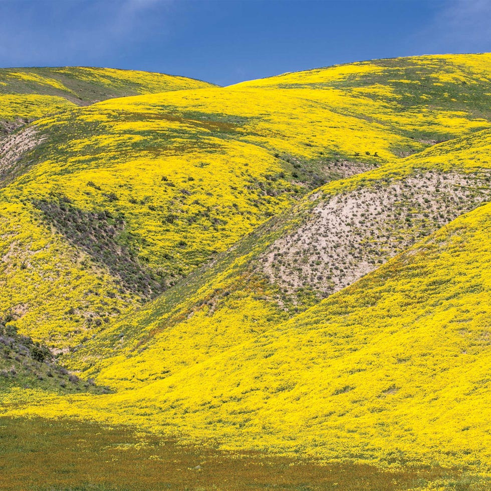 carrizo plain national monument