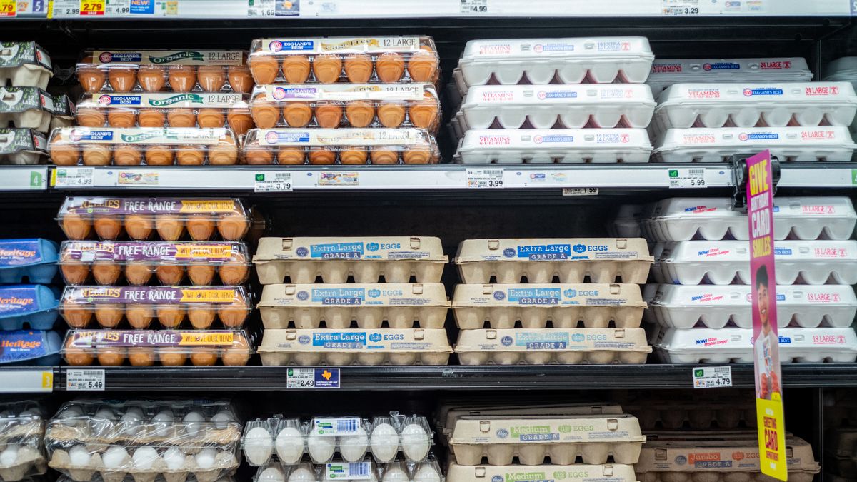 preview for What You Should Know About Those Labels On Your Egg Cartons