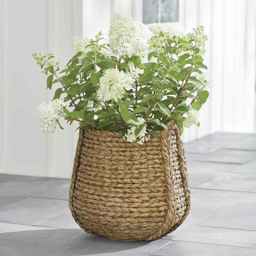 planter with white flowers in a woven basket on a tiled floor