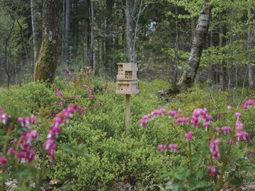 una casita para abejas diseñada por ikea