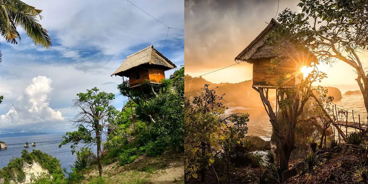 casa albero bali indonesia airbnb