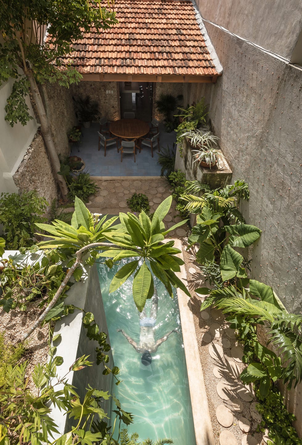 A very narrow old house renovated respecting its essence and with a pool in the courtyard