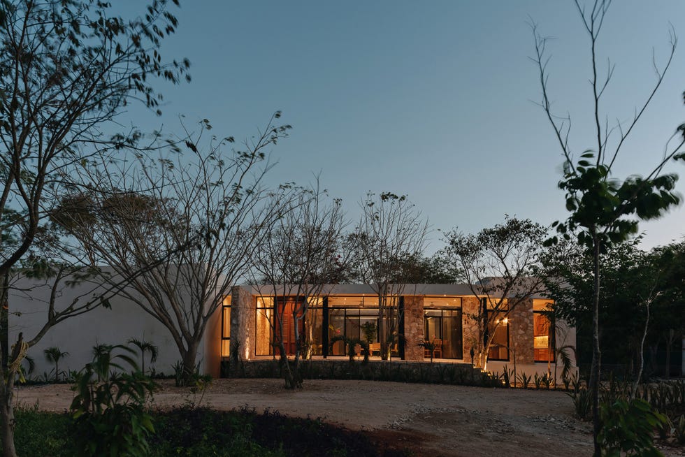 casa de arquitectura moderna con una planta en el bosque