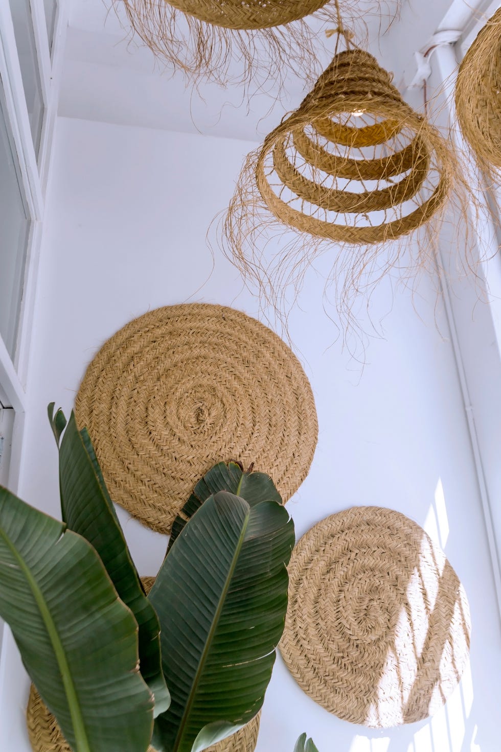 entrada con plantas, decoración de pared de yute y lámparas de fibras