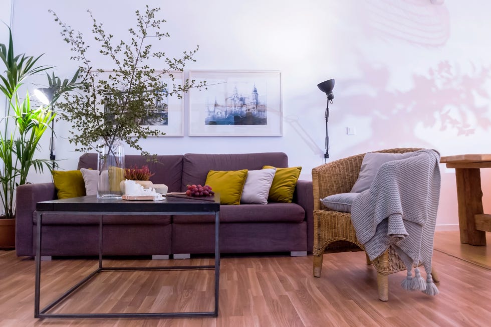 salón moderno con sofá tapizado en tela morada, butaca de fibras y mesa de centro de metal