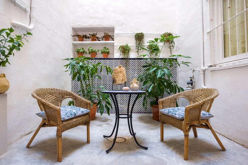patio interior con butacas de ratán y plantas