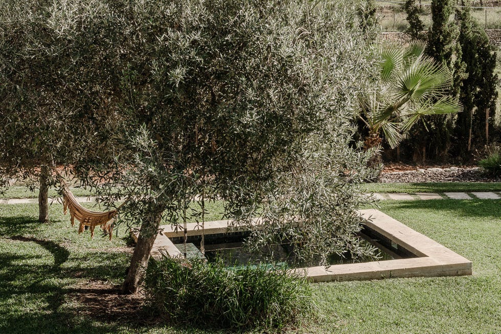 piscina y hamaca