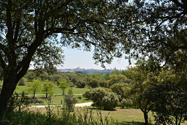 una vista panorámica de la casa de campo de madrid