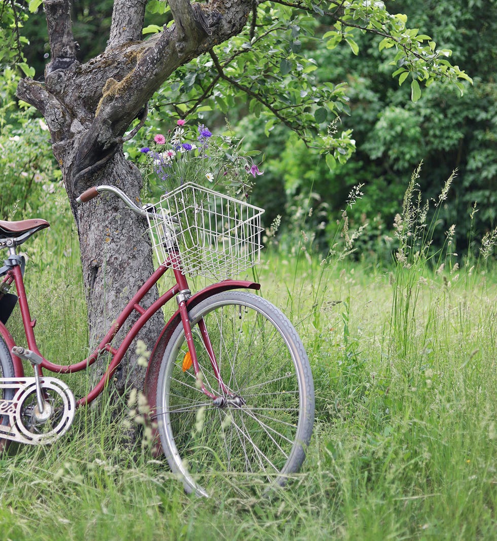 bicicleta retro decorada con flores en el jardín