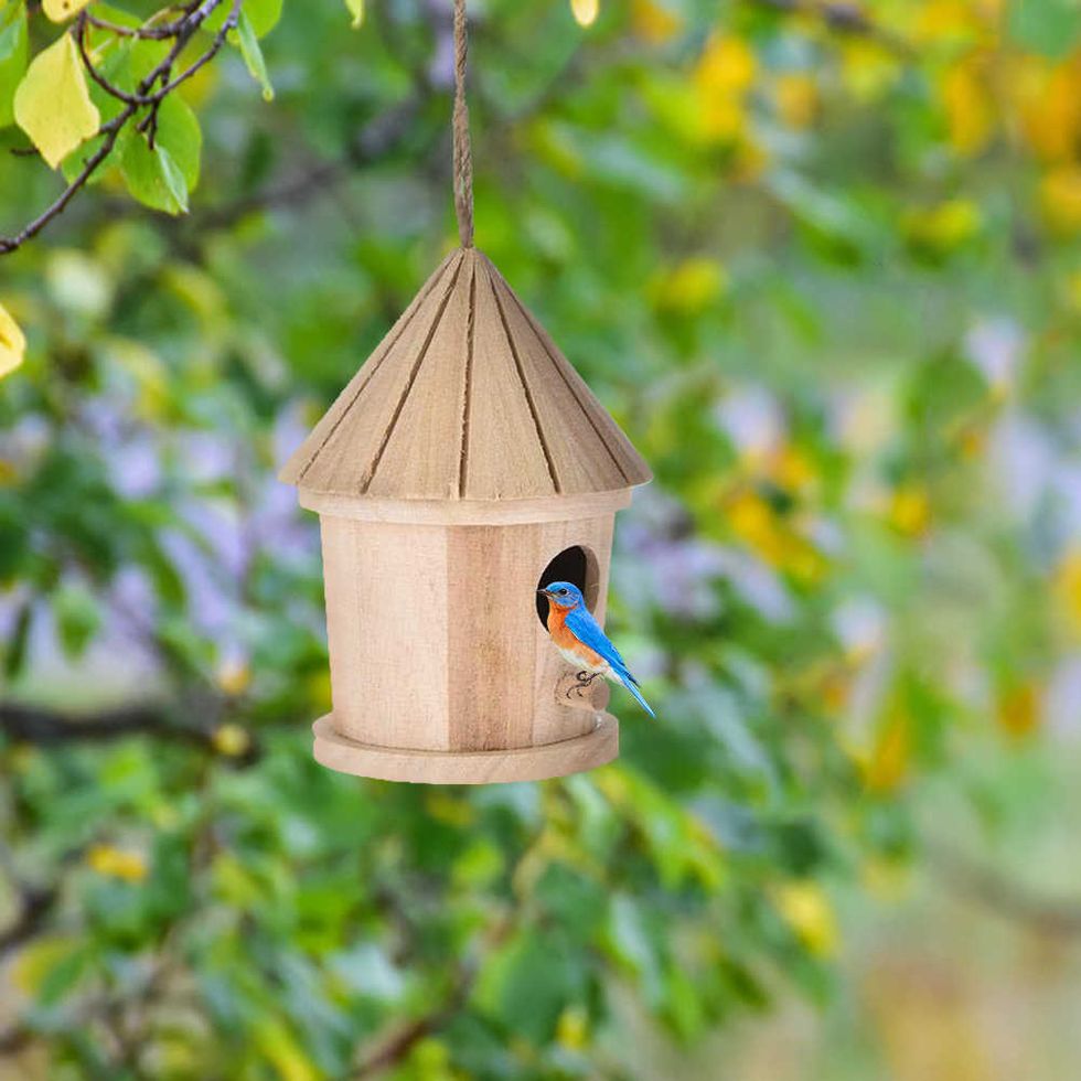 20 casas de pájaros bonitas para tu jardín o terraza