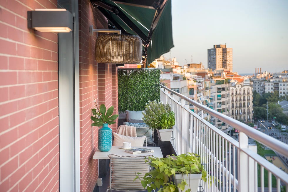 terraza decorada con un jardín vertical